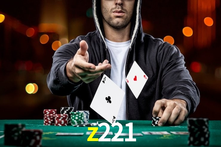 z221.com